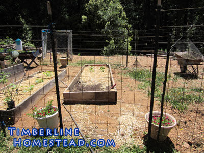 Installing a garden fence - Timberline Homestead