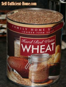 hard-red-wheat