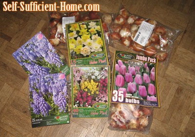 fallbulbs