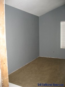 paintandcarpetclosetwall