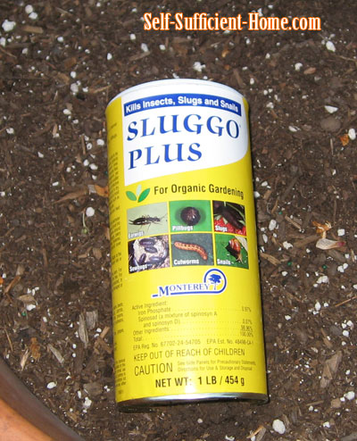 how-to-get-rid-of-slugs