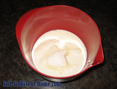 homemade-frozen-yogurt