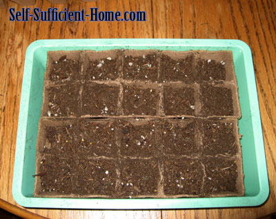 seedling-tray