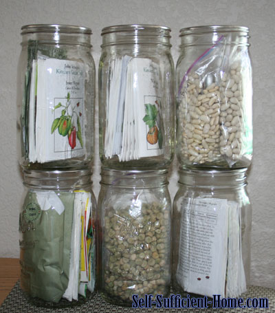 long-term-seed-storage