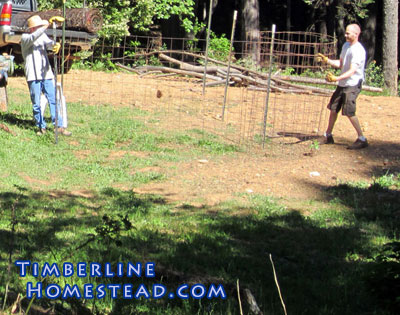 fencing-in-garden