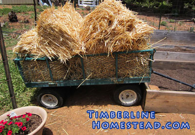 straw-in-garden-cart