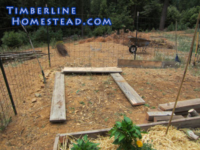 choosing-a-raised-garden-bed-location