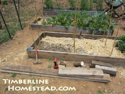 how-to-build-raised-beds