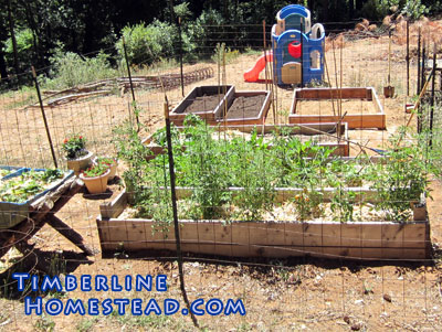 raised-bed-garden