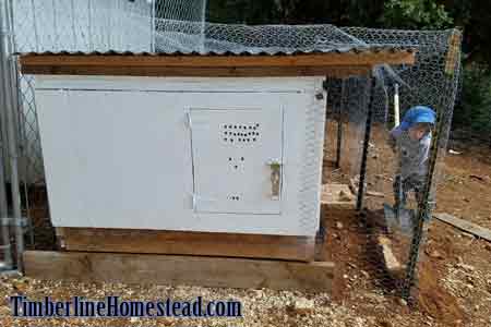 nursery-coop-for-chickens
